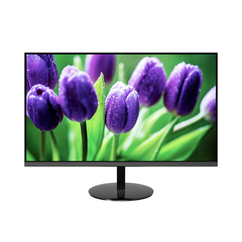 24-inch LCD computer monitor for entertainment and office use ¨C high-definition display, black color, LED technology